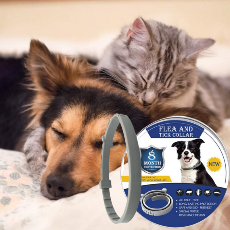 Coleira anti-pulgas para Cães e Gatos/AntiCollar